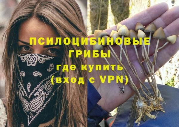 бошки Краснотурьинск