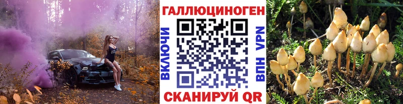 Псилоцибиновые грибы GOLDEN TEACHER как найти наркотики нарко площадка состав Комсомольск-на-Амуре