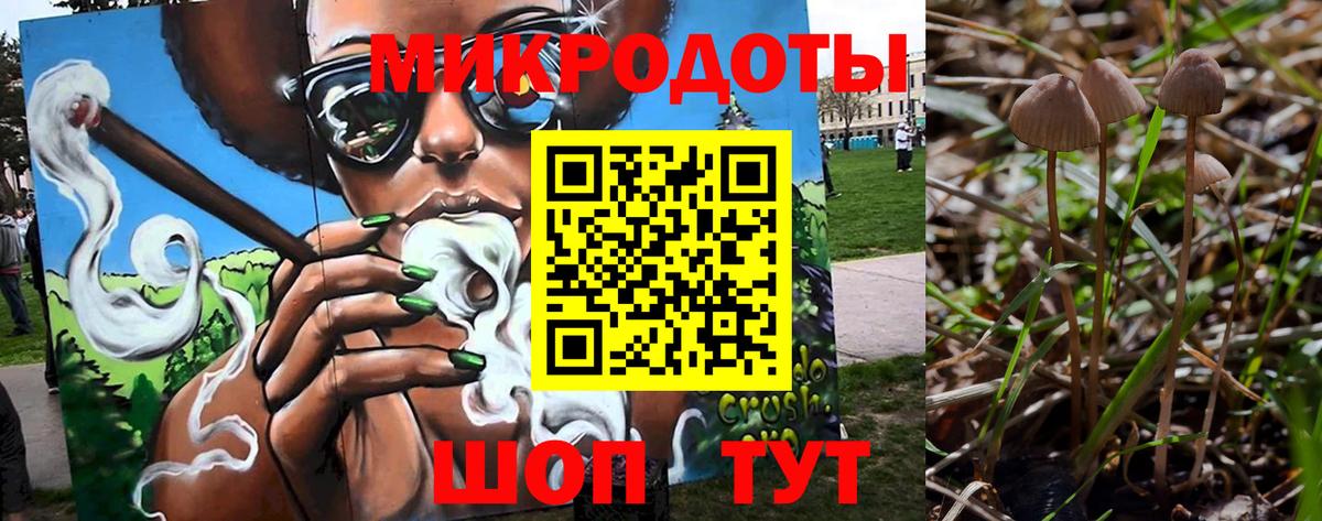 Псилоцибиновые грибы Psilocybine cubensis  Галлюциногенные грибы прущие грибы  Комсомольск-на-Амуре  Вход с VPN 